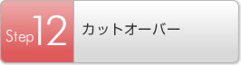 Step12 カットオーバー